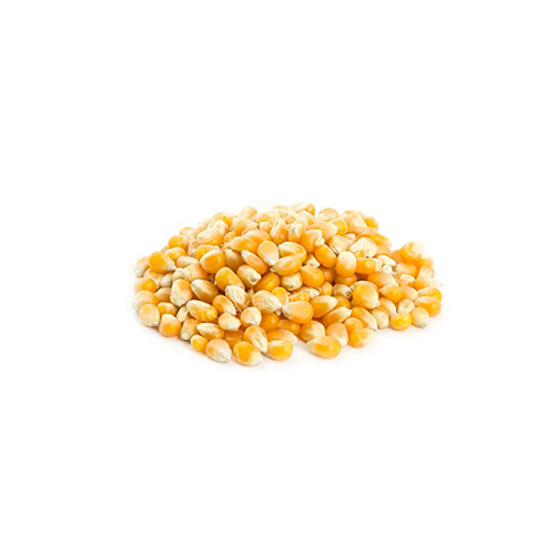 STK BRAND CORN SEED (500G) (1 x 2)