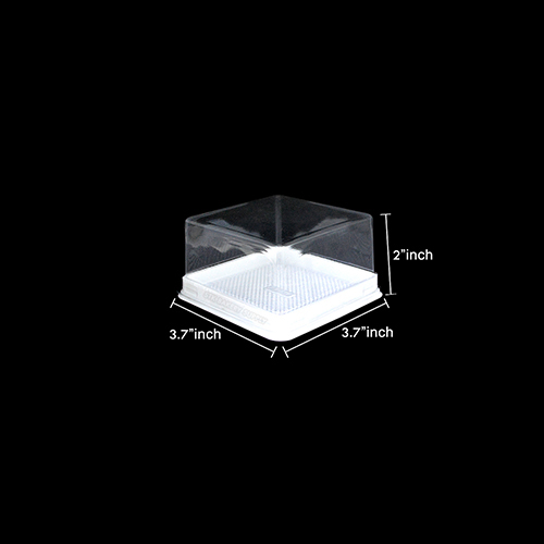 PLASTIC PACKING CAKE BOX ZX016/DH004 45~50PCS (1 × 20)