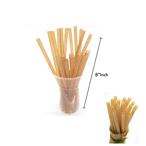 SUGARCANE BUBBLE STRAW 21CM (1 x 70)